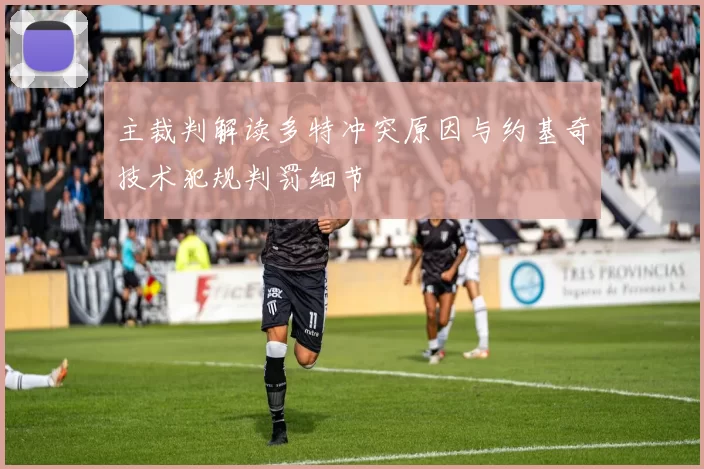 主裁判解读多特冲突原因与约基奇技术犯规判罚细节