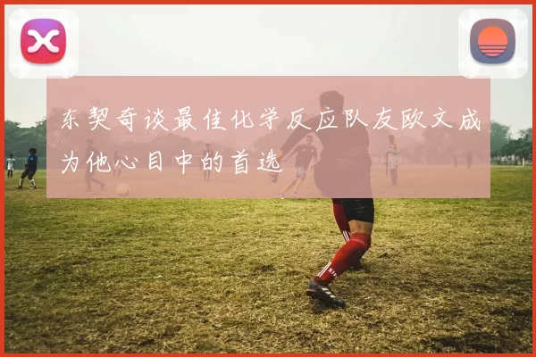 东契奇谈最佳化学反应队友欧文成为他心目中的首选